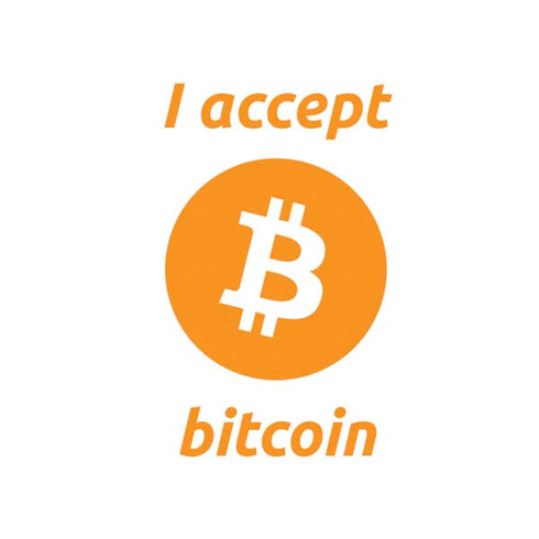 I Accept Bitcoin Nintendo 2DS XL (2017) Skin